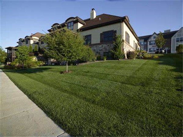 Herbicides