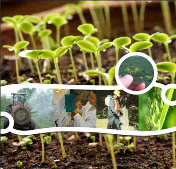 Fungicides